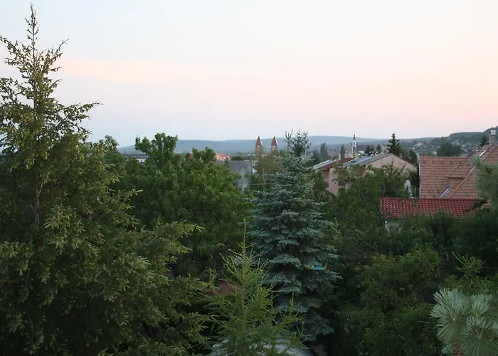 Hotel Barcza Vendeghaz Balatonfüred